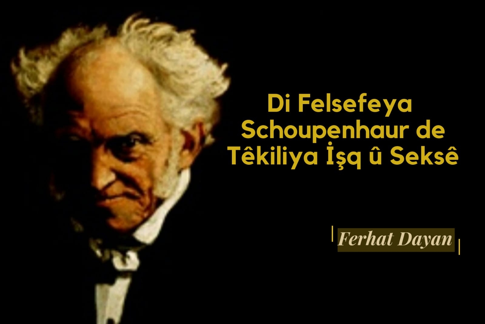 Di Felsefeya Schopenhauer de Têkiliya Işq û Seksê